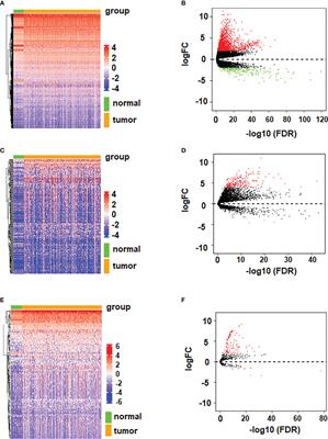 Comprehensive analysis of lncRNA-mediated ceRNA networkfor hepatocellular carcinoma